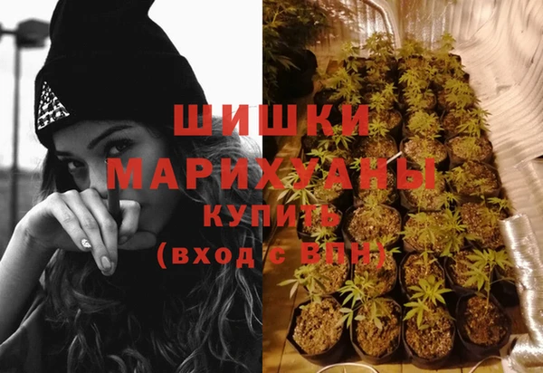твердый Михайловск