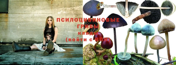 молекула духа Мегион