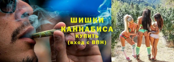 молекула духа Мегион