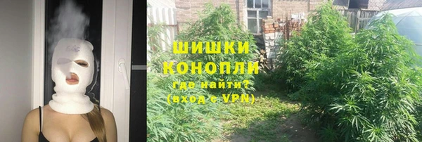 молекула духа Мегион